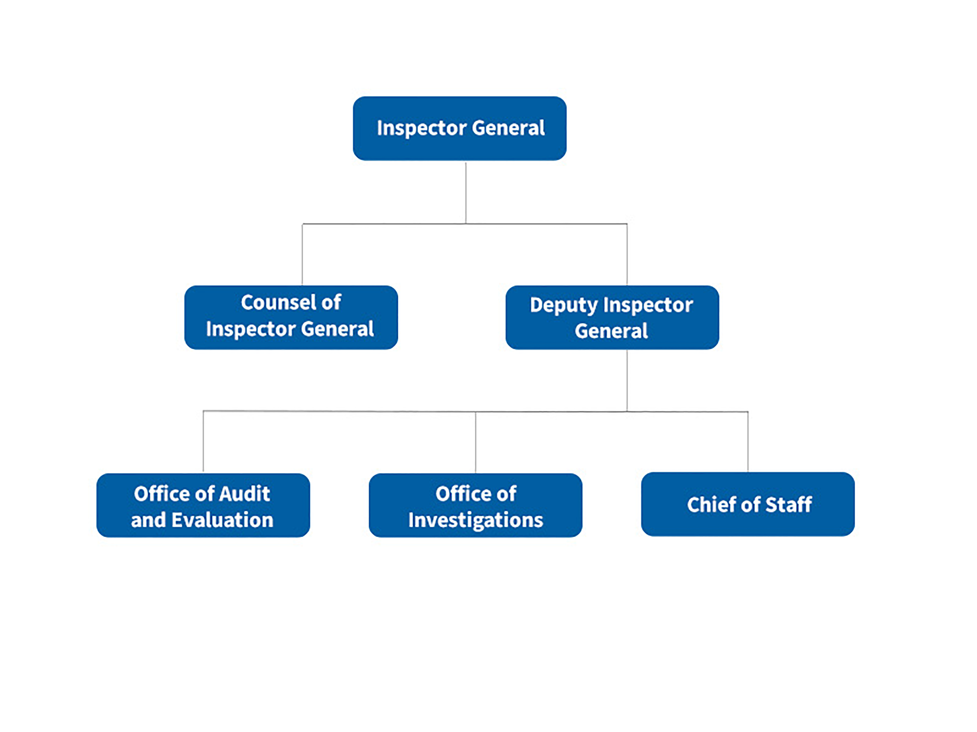 OIG Organization Chart OIG Organization Chart